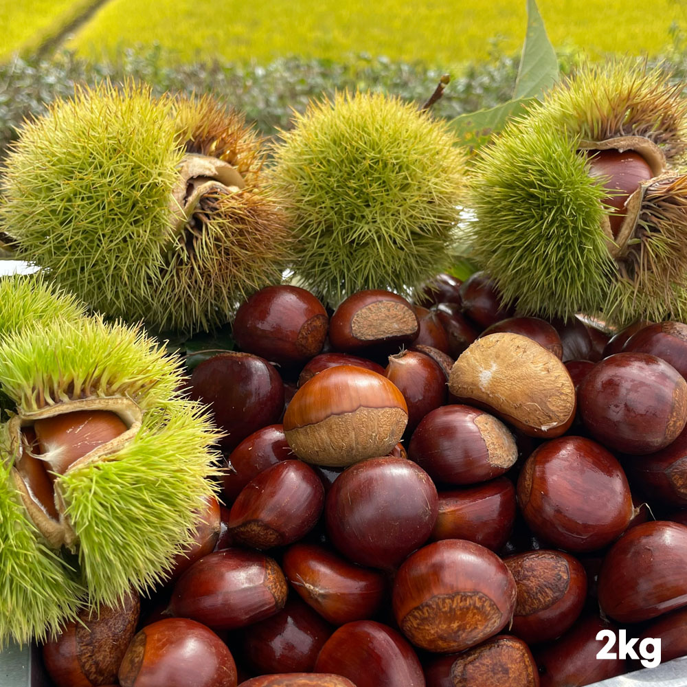 1775034021 thumbnail