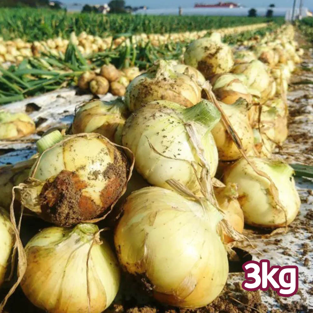 1775437701 thumbnail