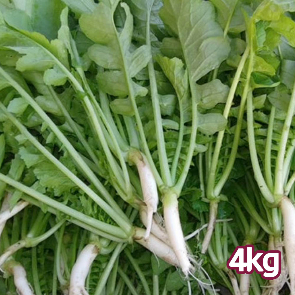 1775437704 thumbnail