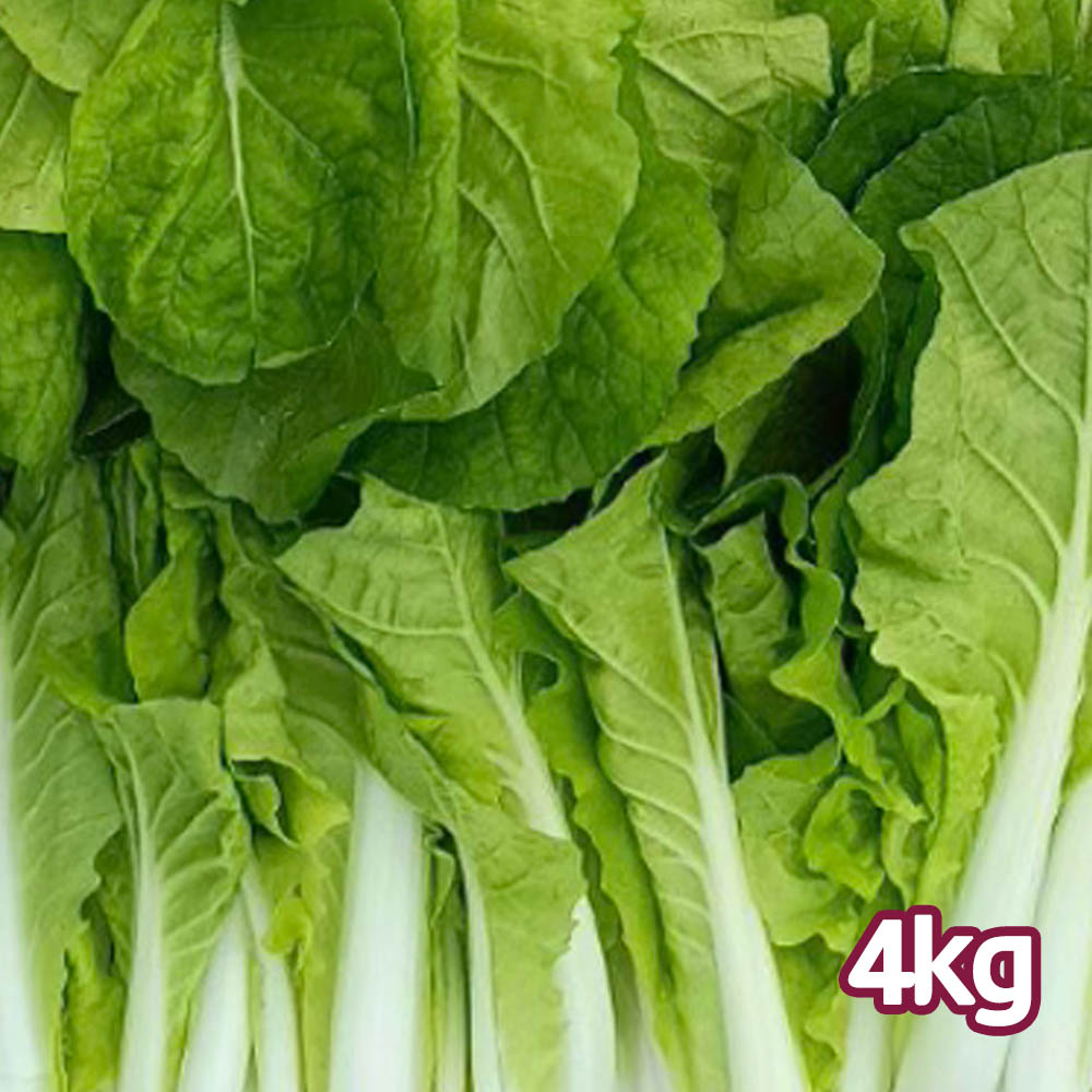 1775437706 thumbnail