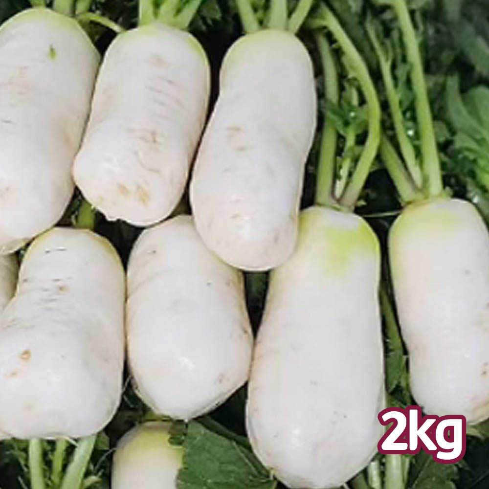 1775437707 thumbnail