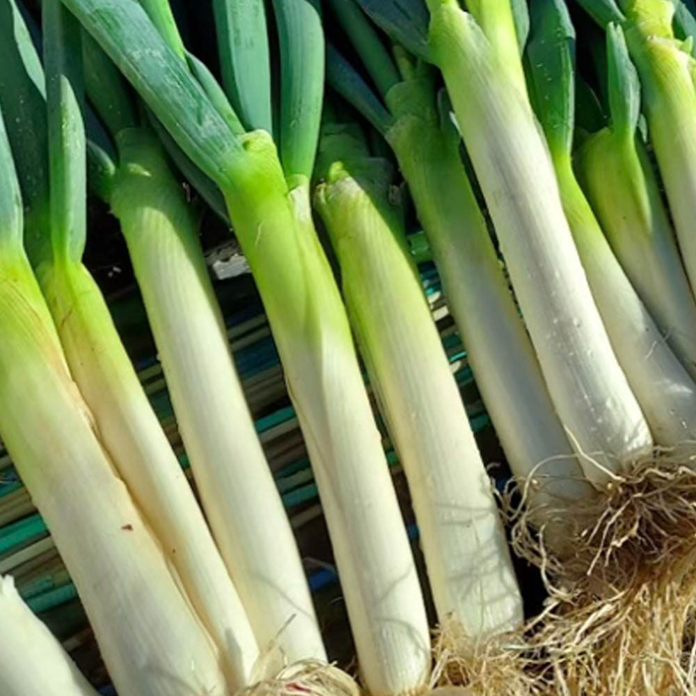 1775437709 thumbnail