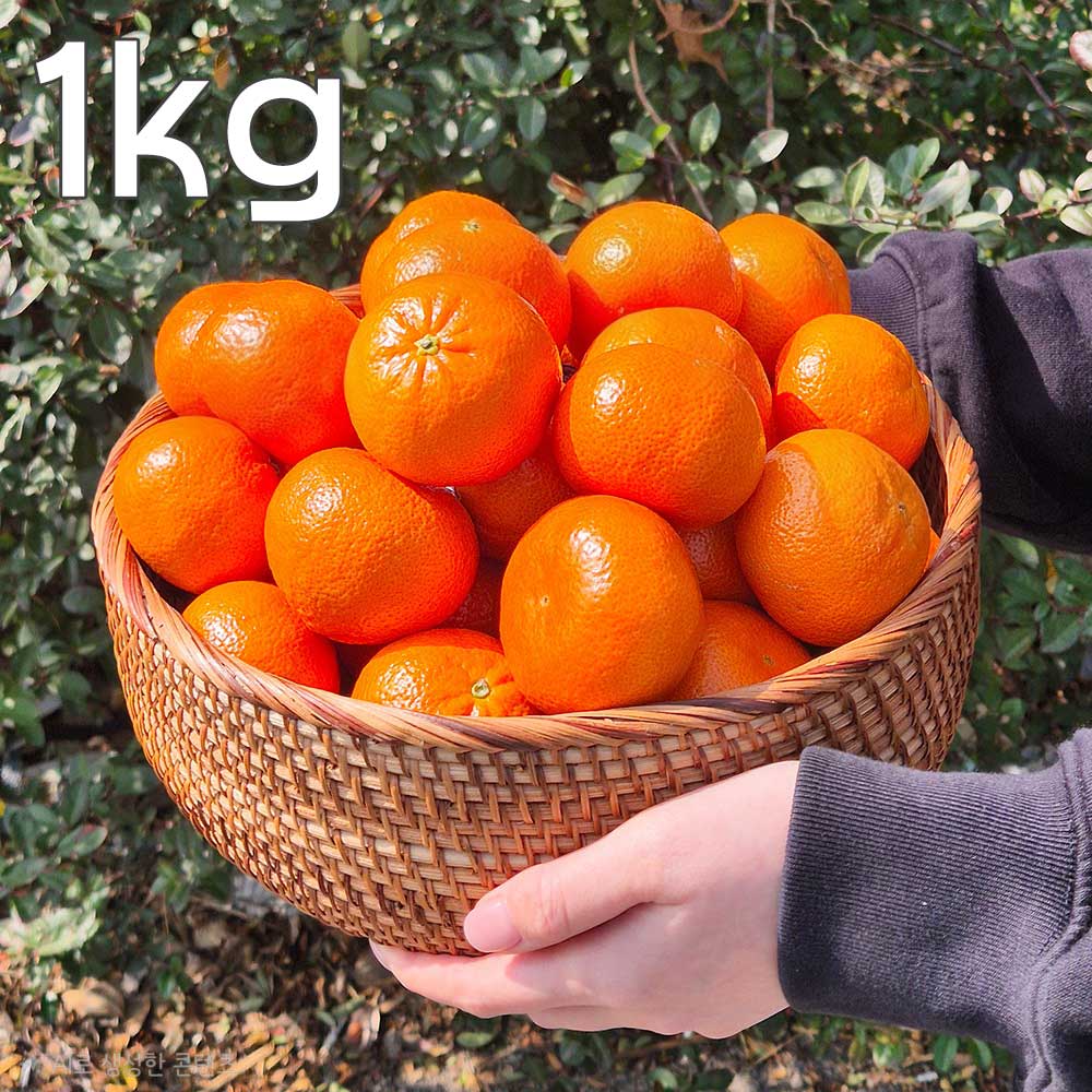 1775461990 thumbnail