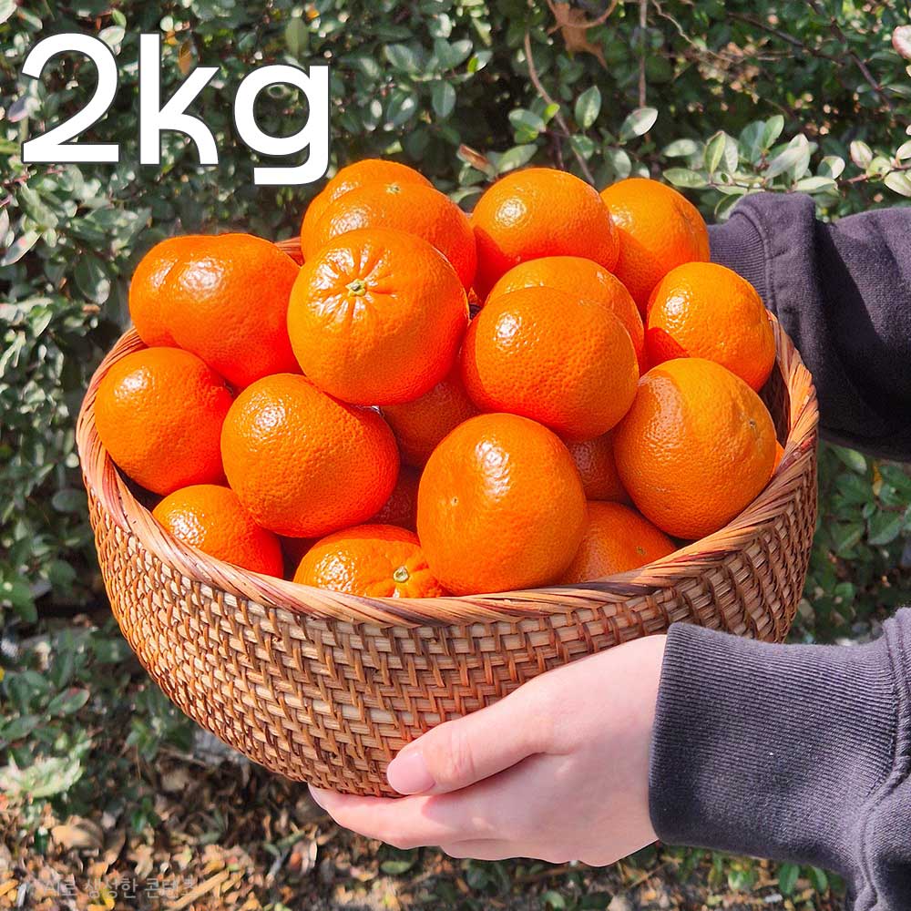 1775461991 thumbnail