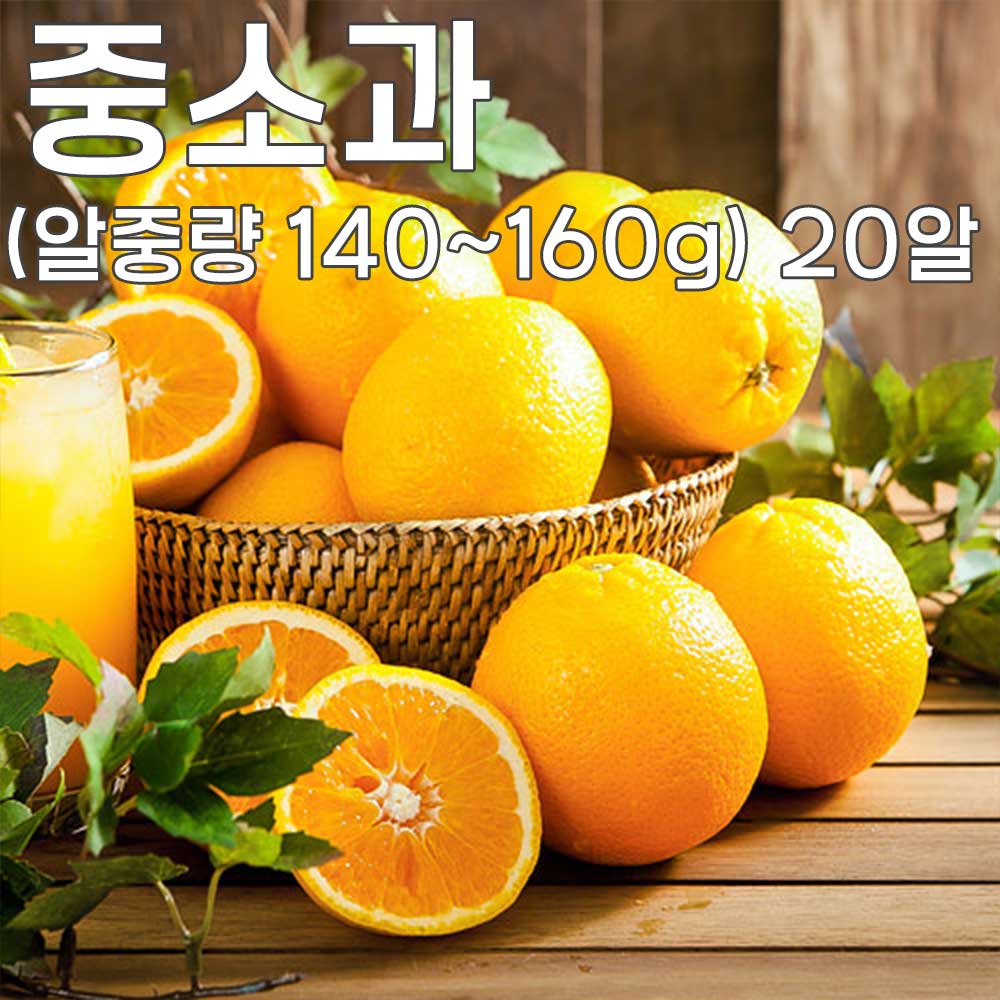 1775462010 thumbnail