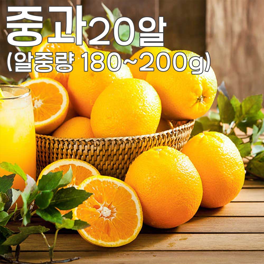 1775462013 thumbnail