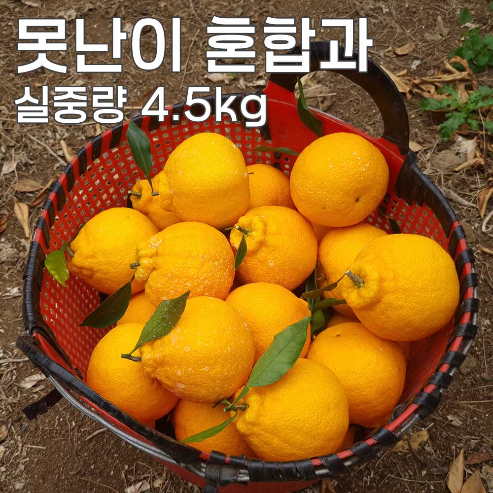 1775462018 thumbnail