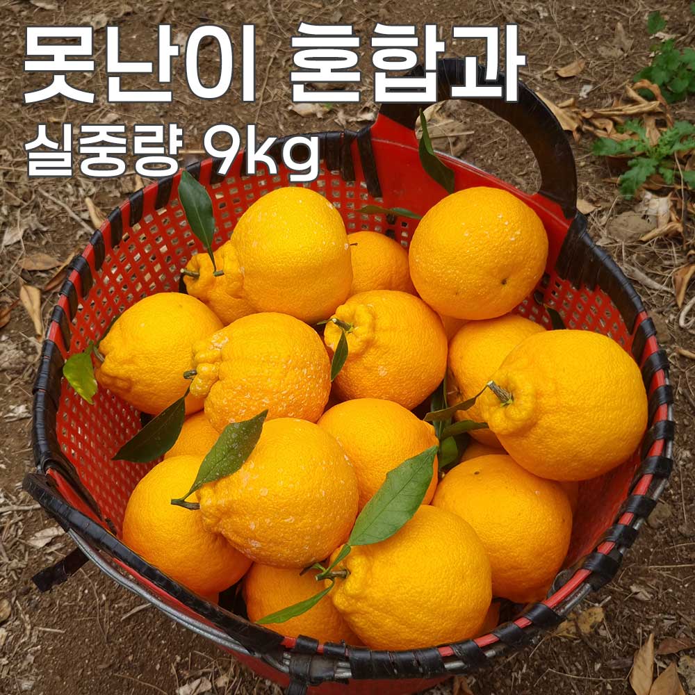 1775462019 thumbnail