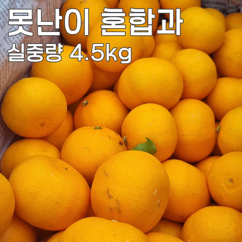 1775462021 thumbnail