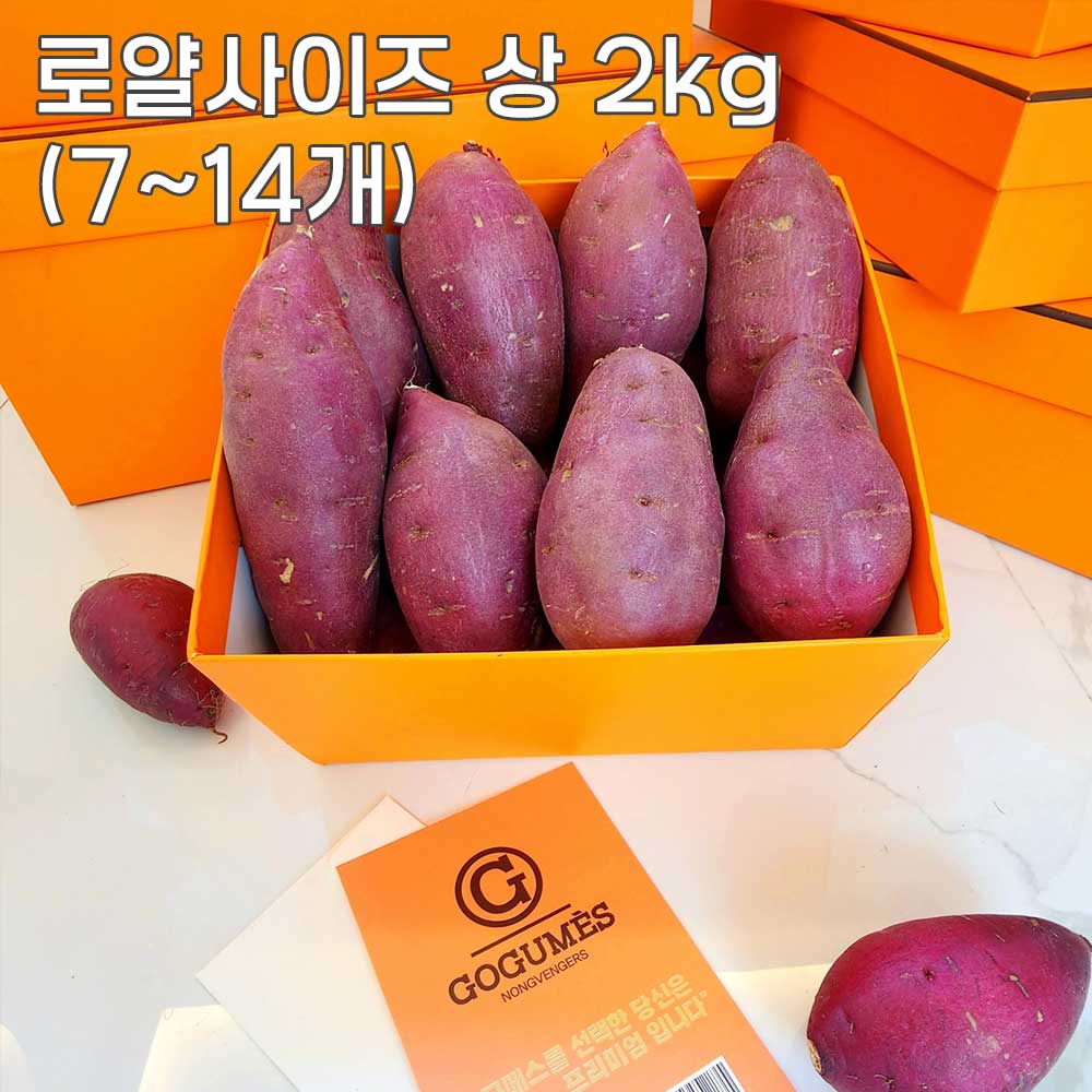 1775462023 thumbnail