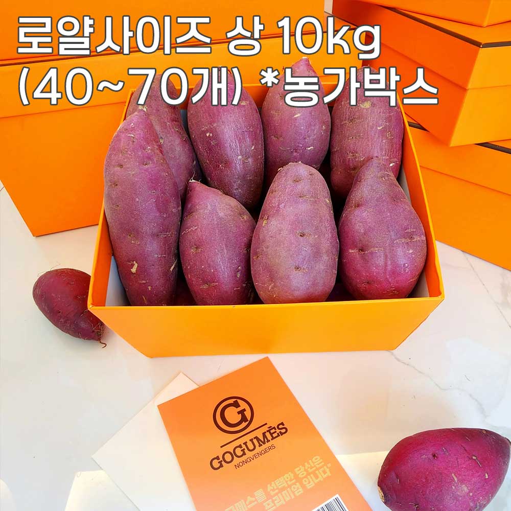 1775462026 thumbnail