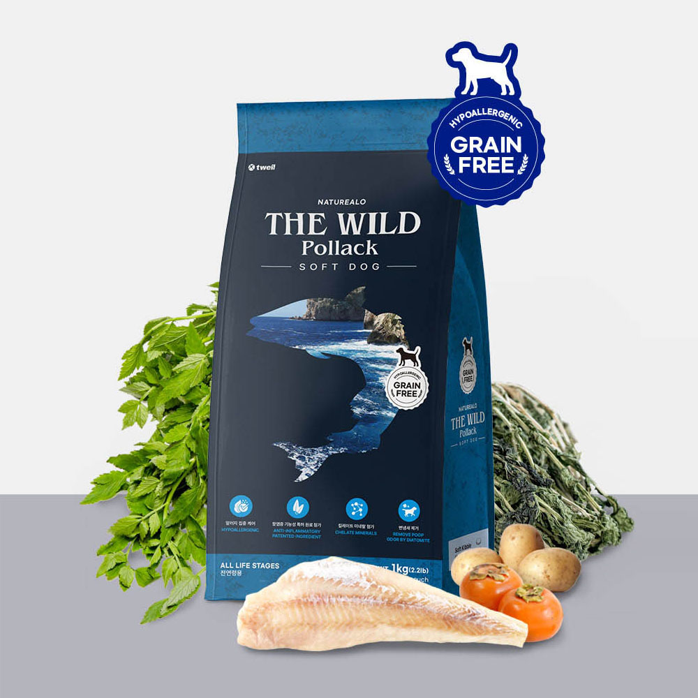 1775548403 thumbnail