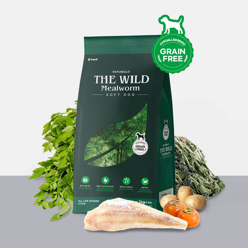 1775548404 thumbnail