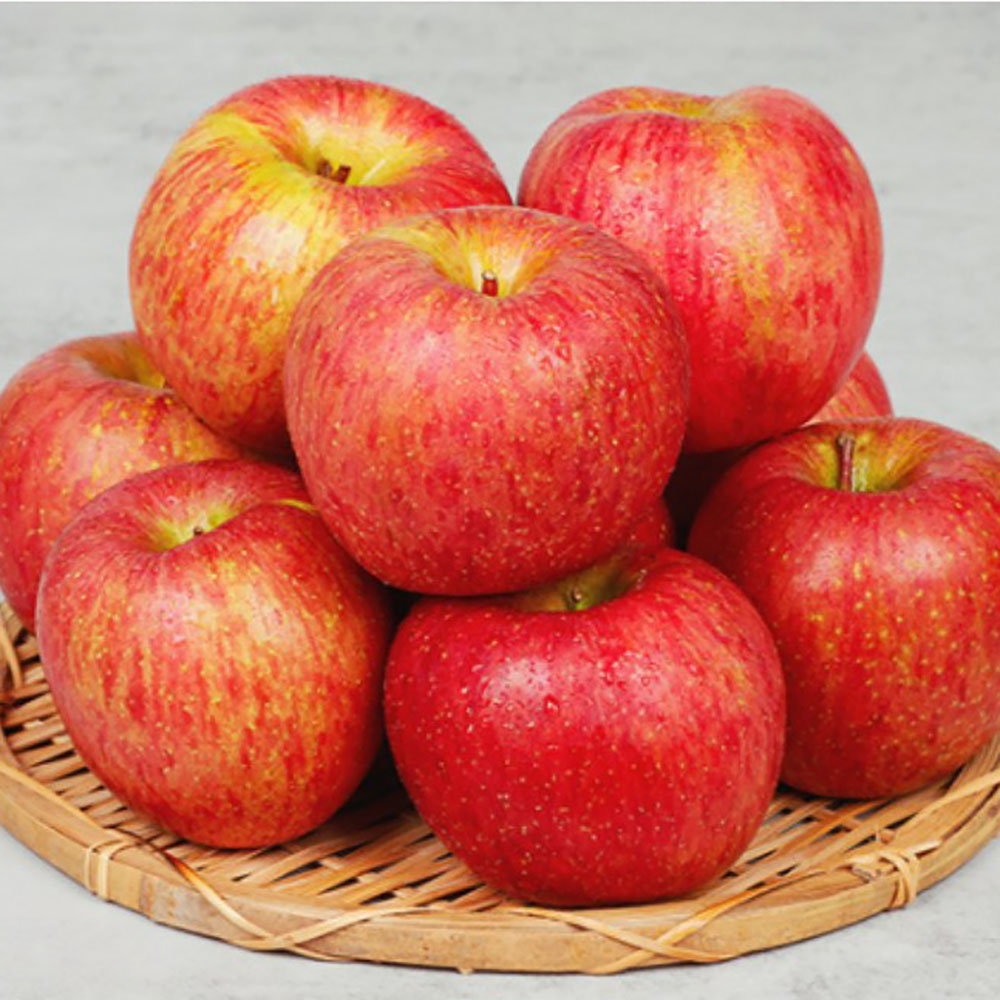 1775630154 thumbnail