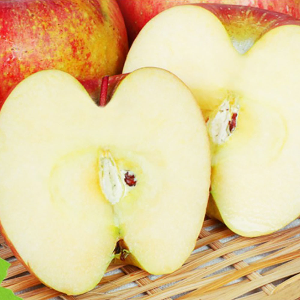 1775630155 thumbnail