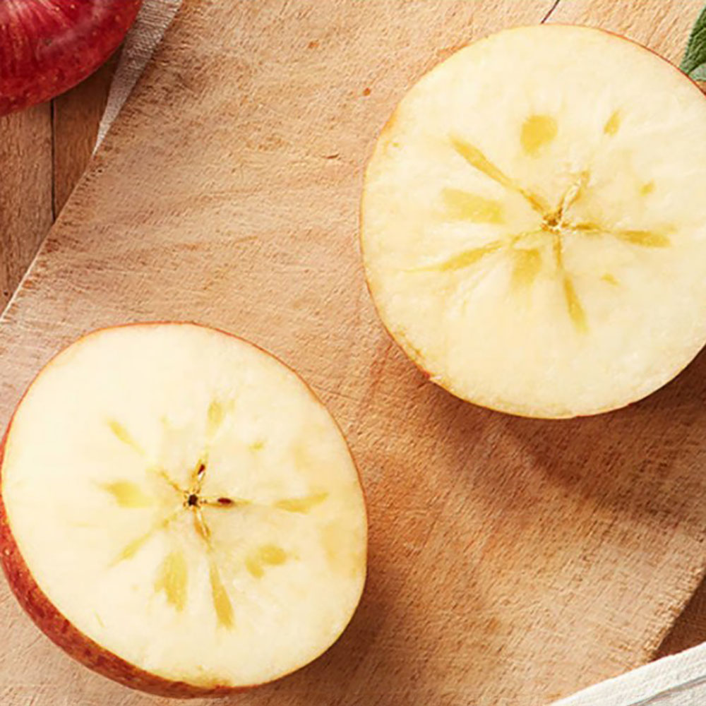 1775630156 thumbnail