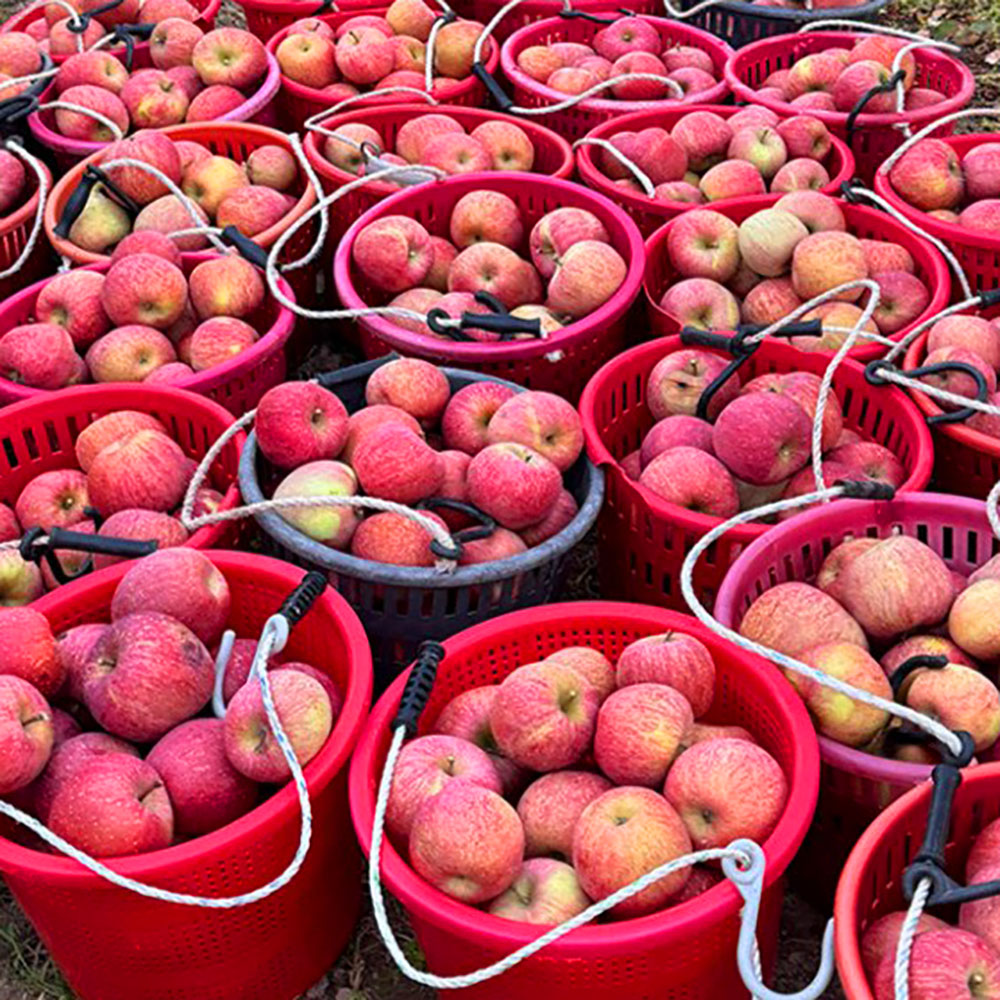 1775630157 thumbnail