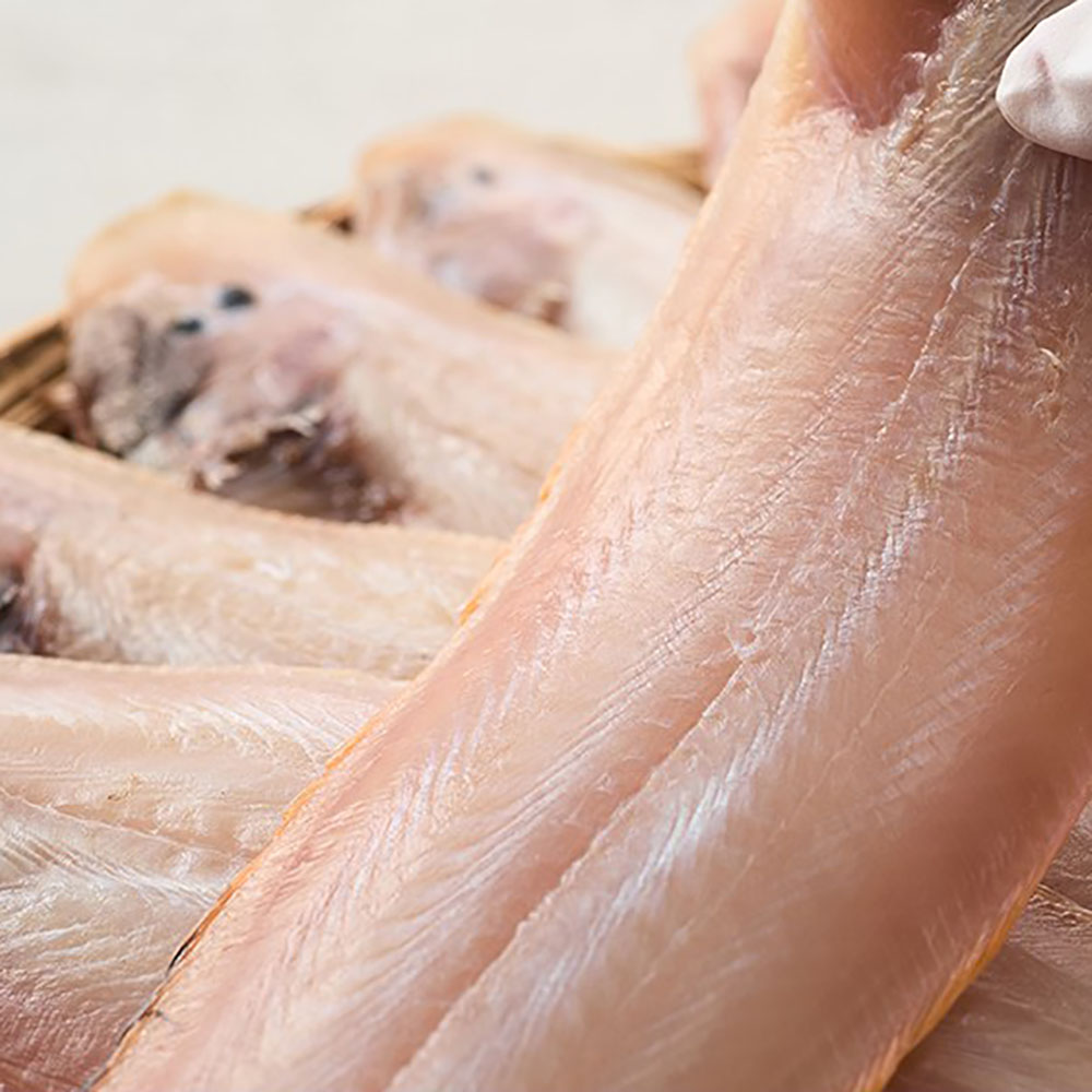 1775630162 thumbnail