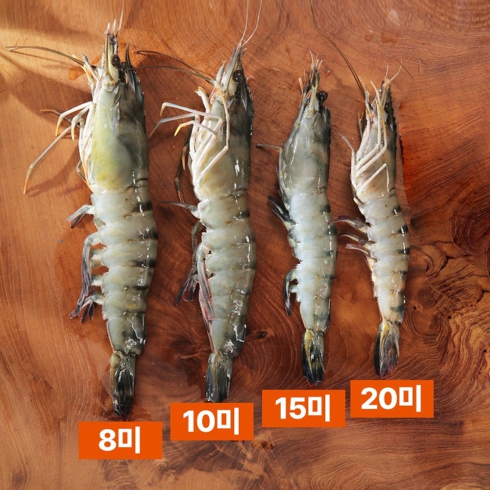 1775630185 thumbnail