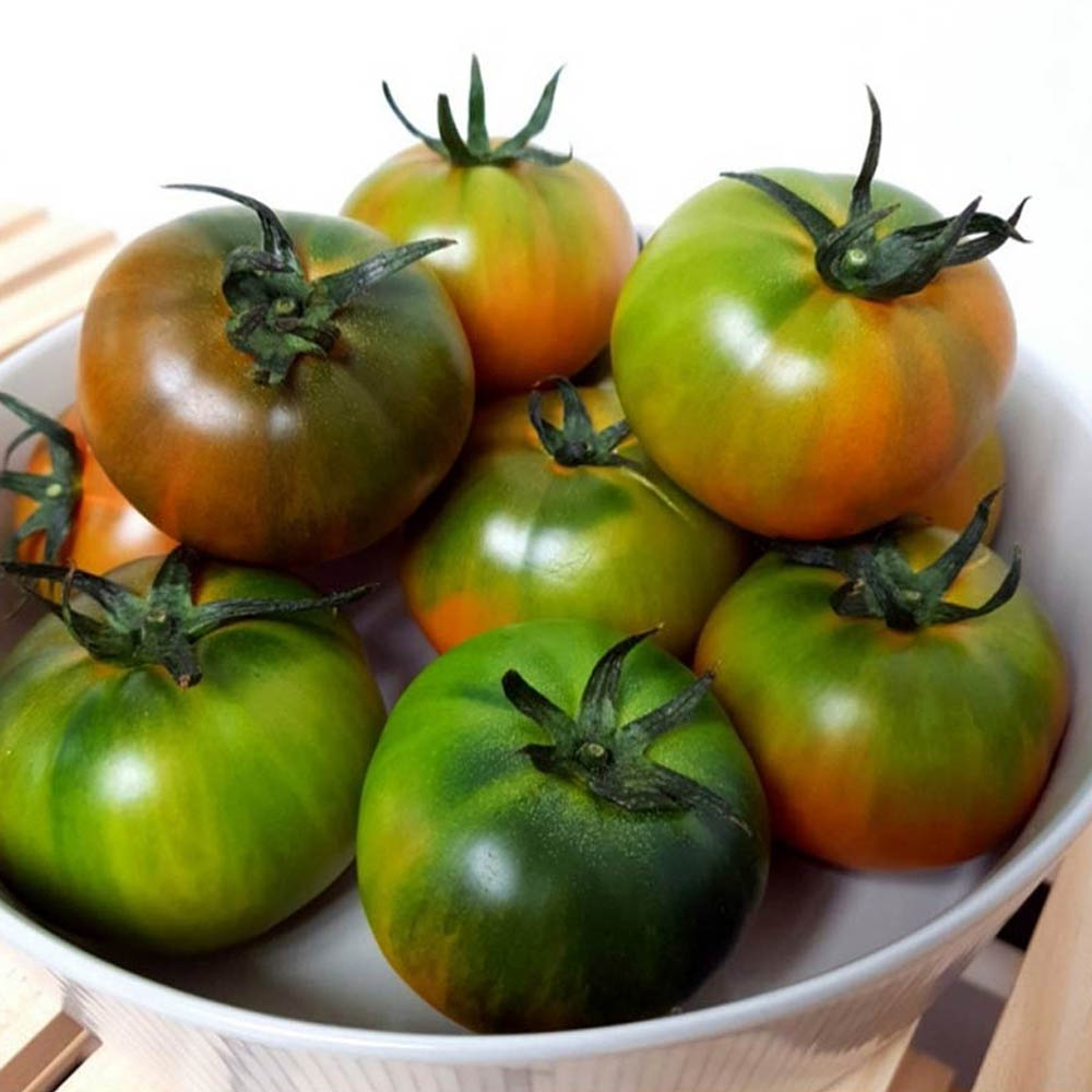 1775631686 thumbnail