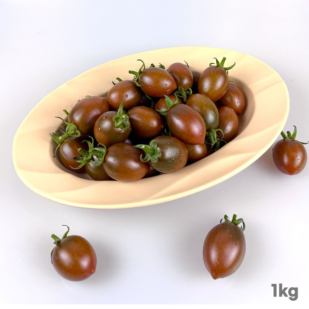 1775720145 thumbnail