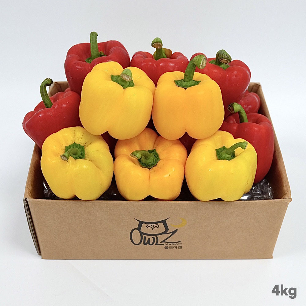 1775720149 thumbnail