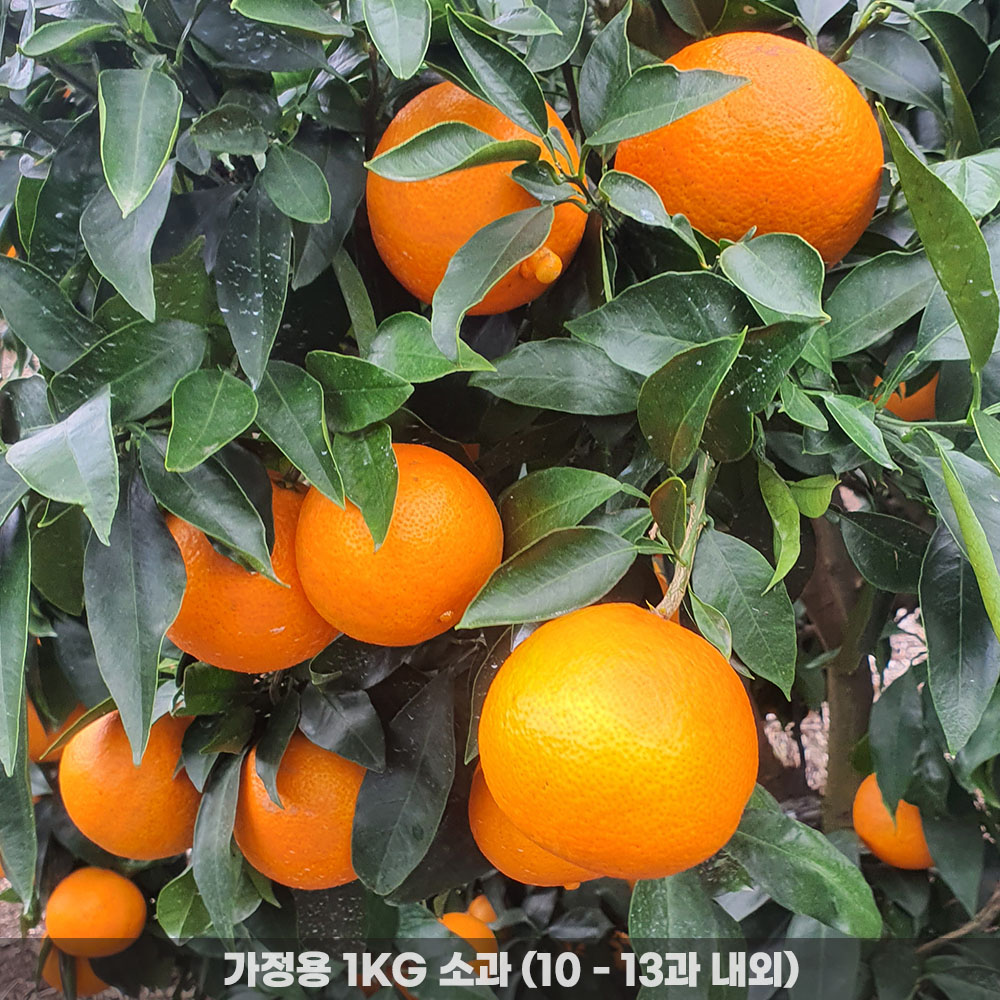 1775720175 thumbnail