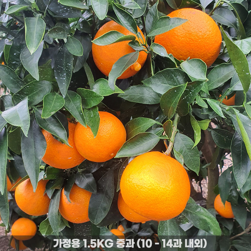 1775720176 thumbnail