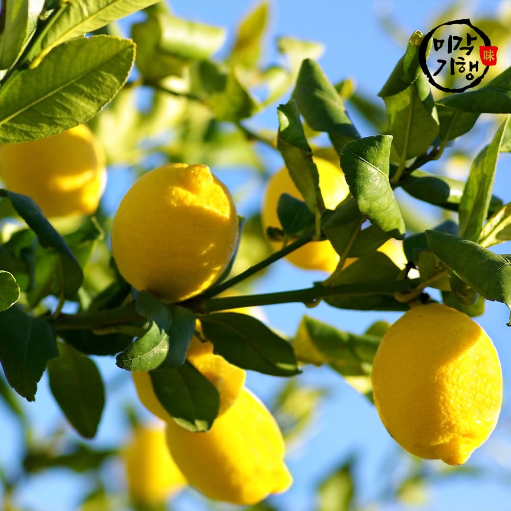 1775794595 thumbnail