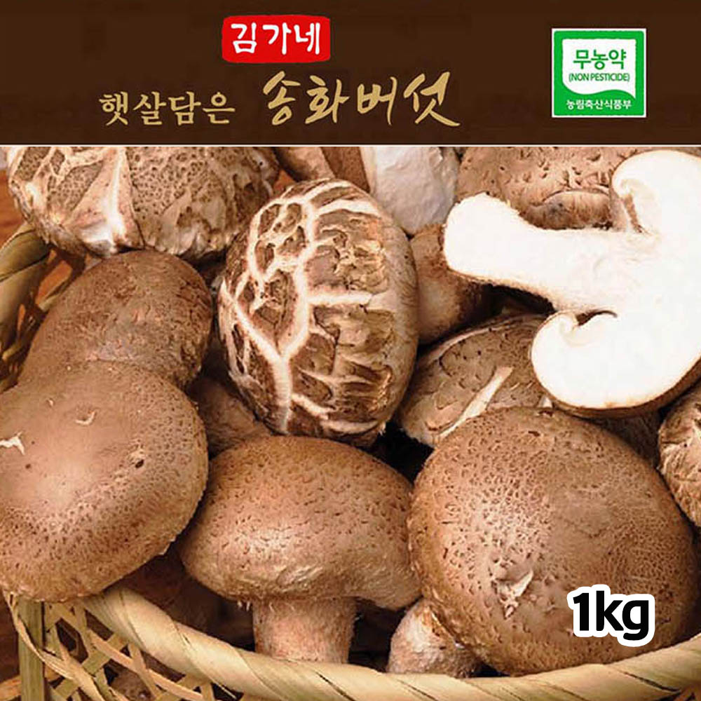 1776129354 thumbnail