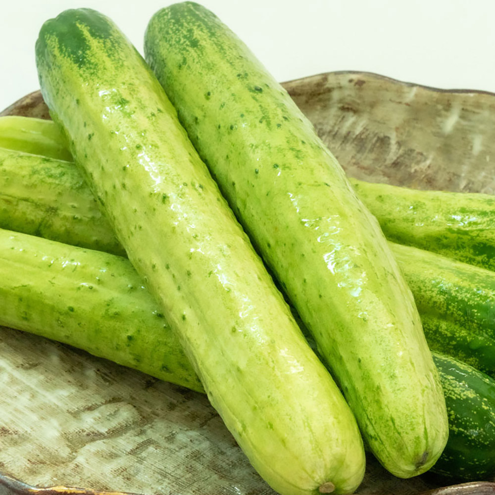 1776155071 thumbnail