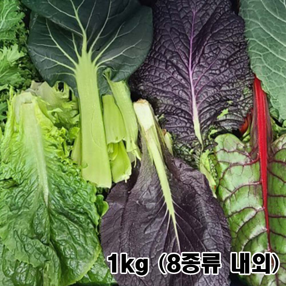 1776228014 thumbnail