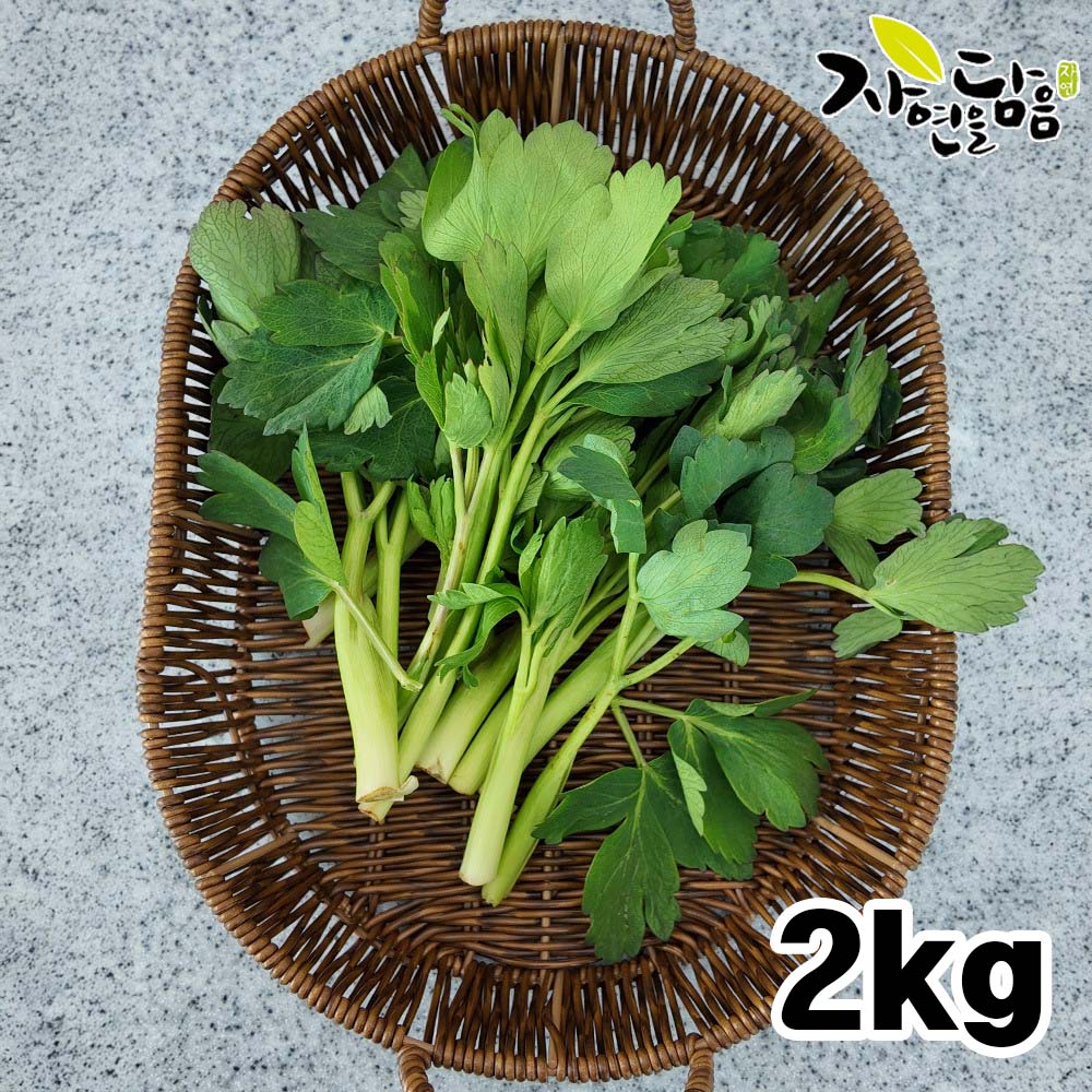 1776228021 thumbnail