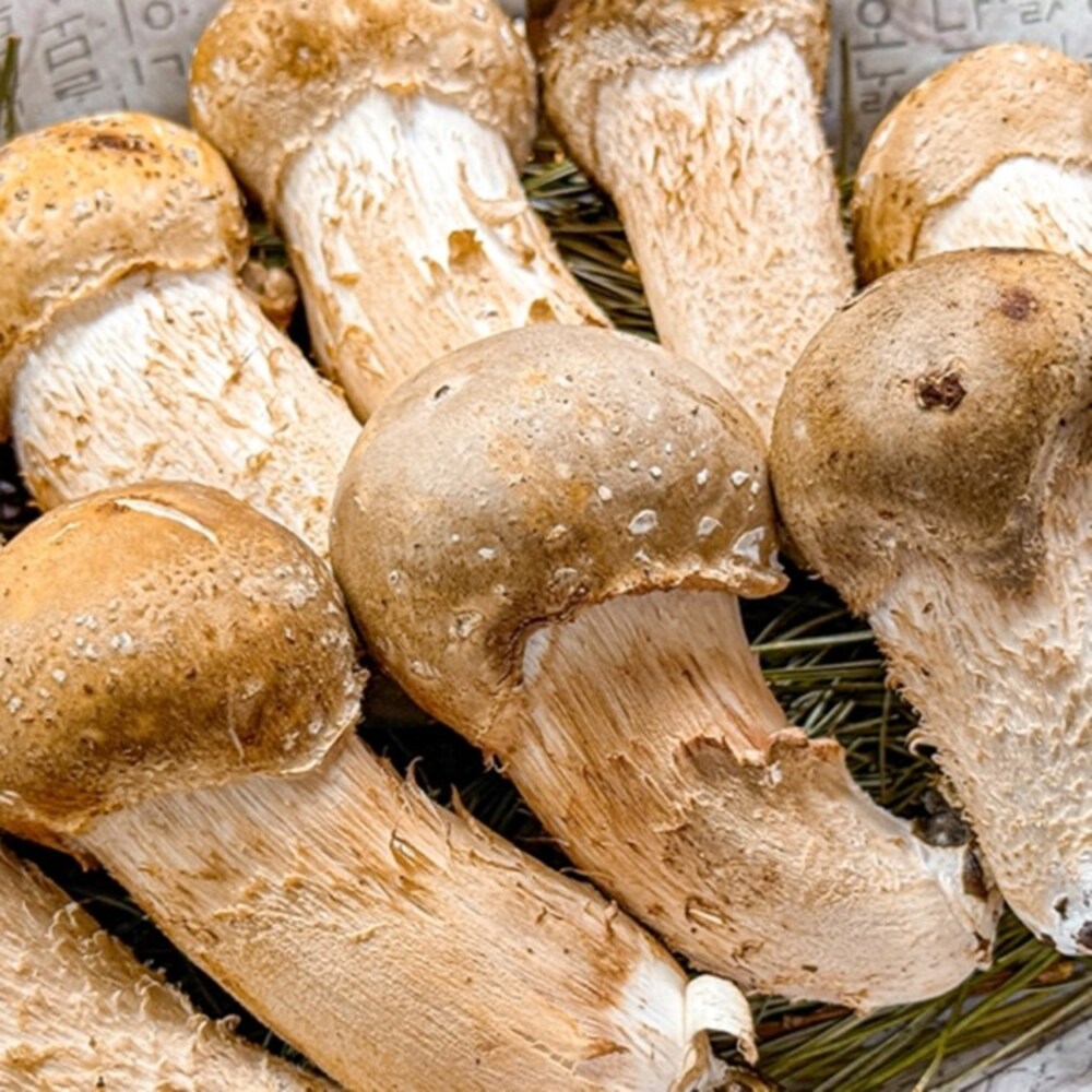 1776240856 thumbnail