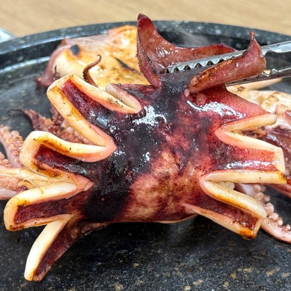 1776240860 thumbnail