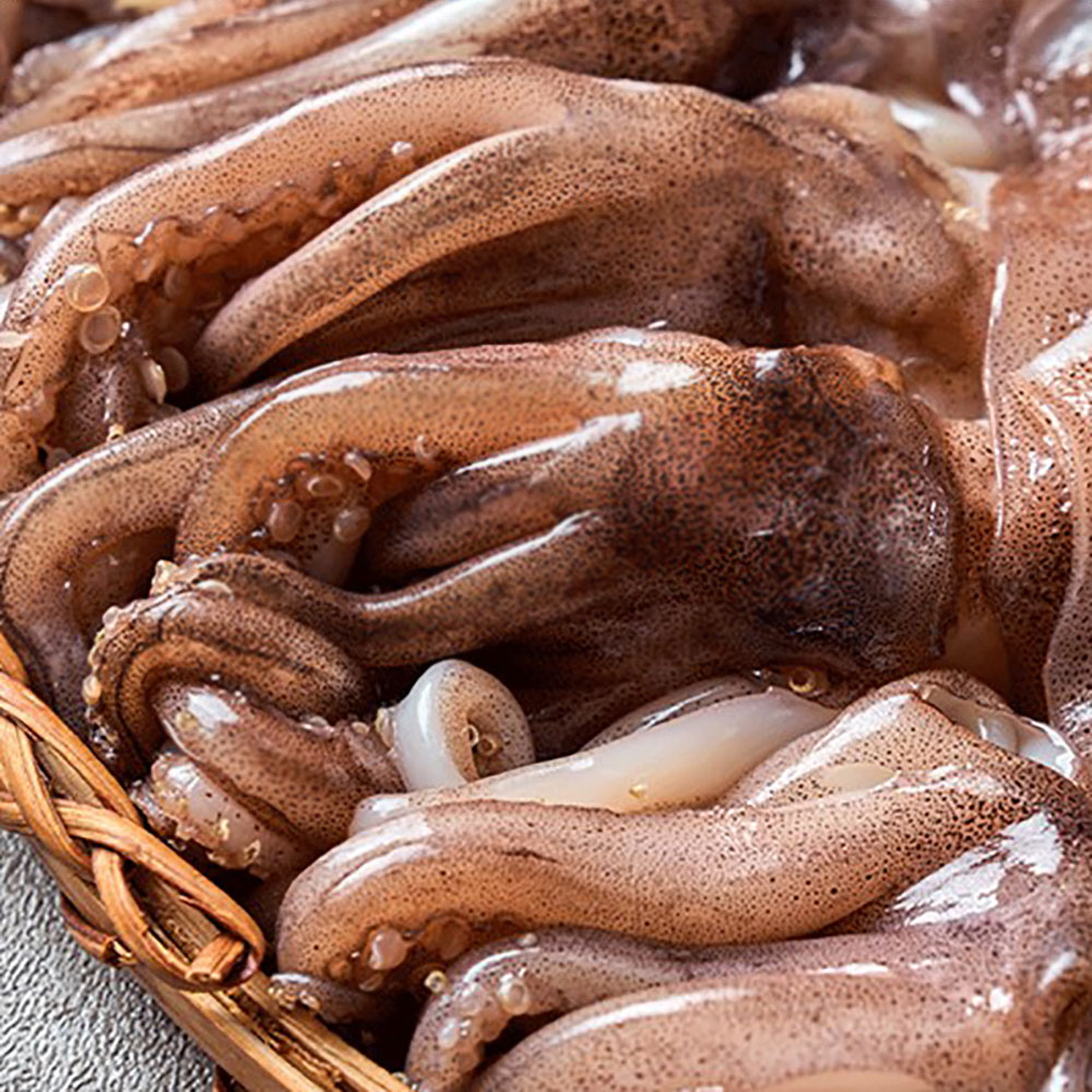 1776240866 thumbnail