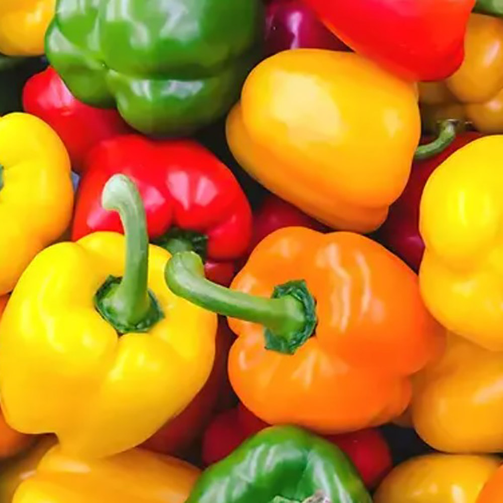 1776240872 thumbnail