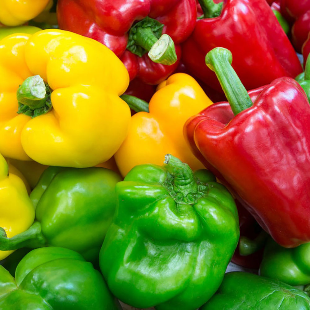 1776240873 thumbnail