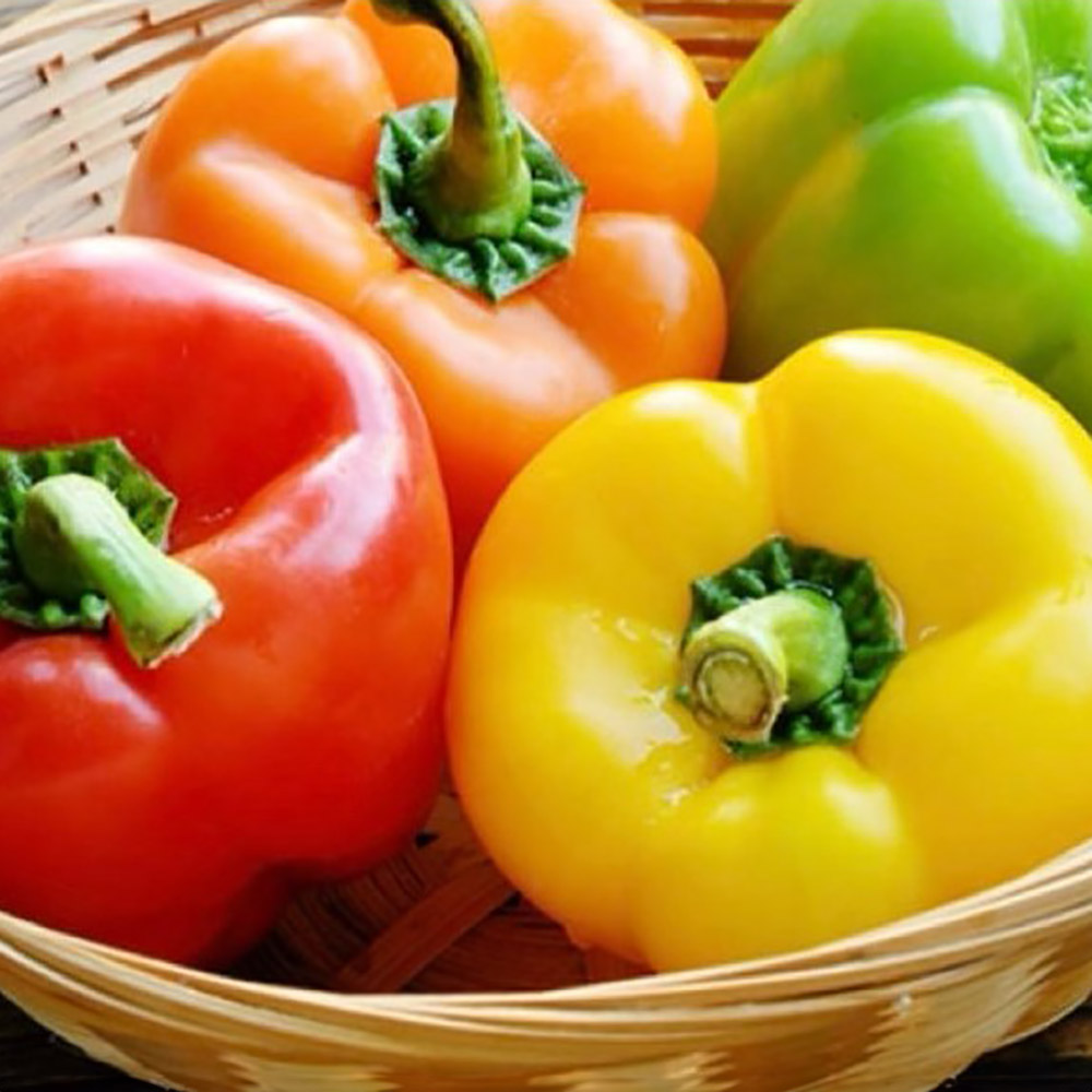 1776240874 thumbnail