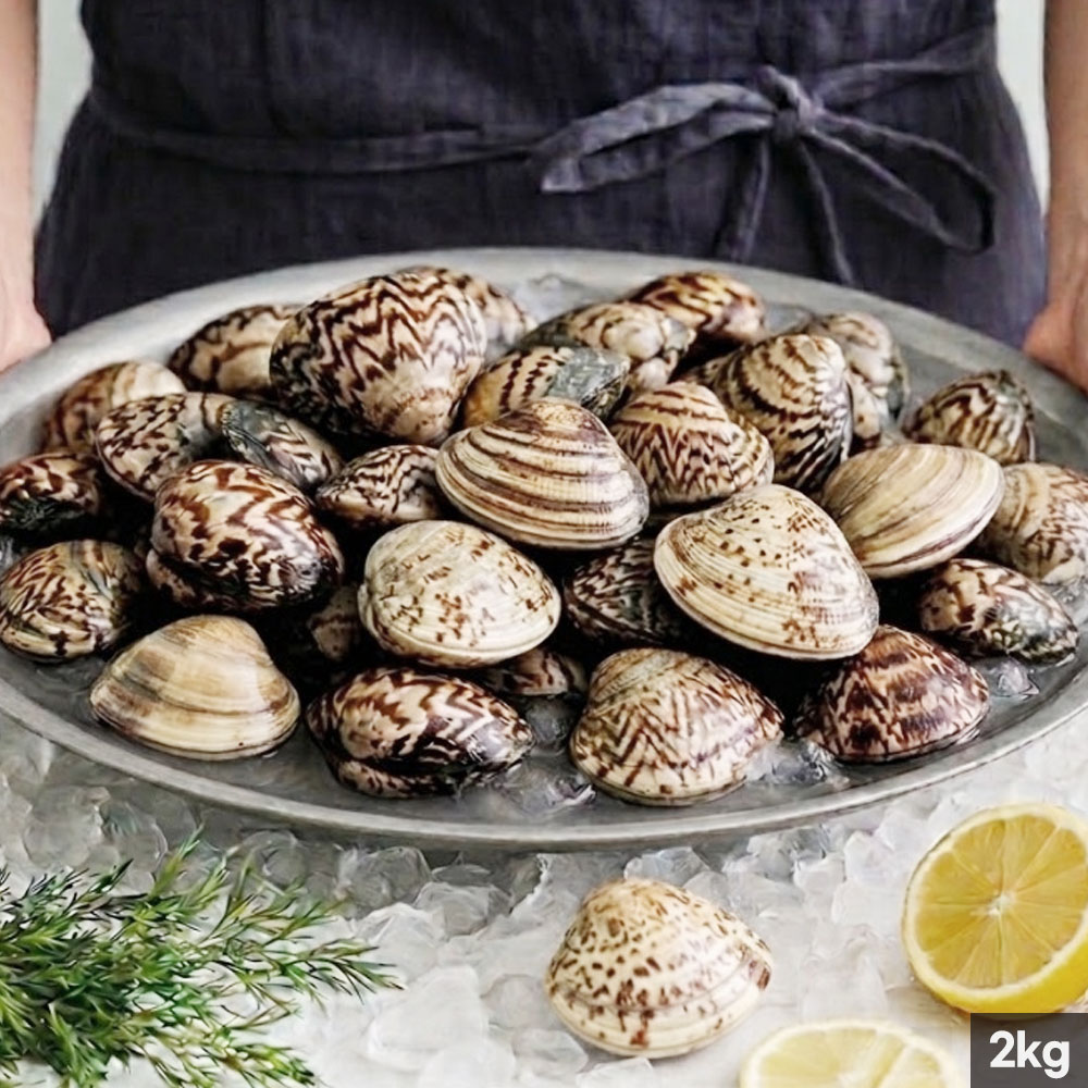 1776330546 thumbnail