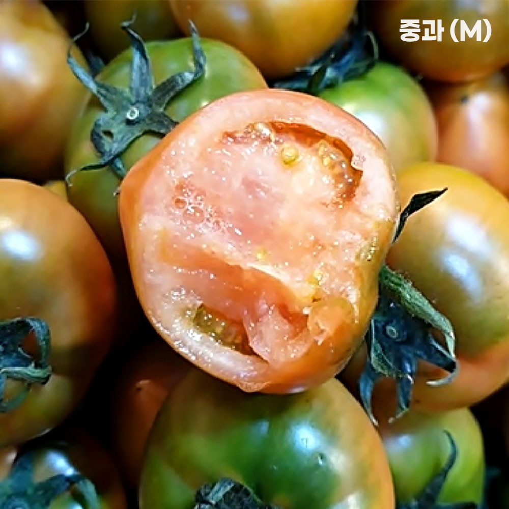 1776330555 thumbnail