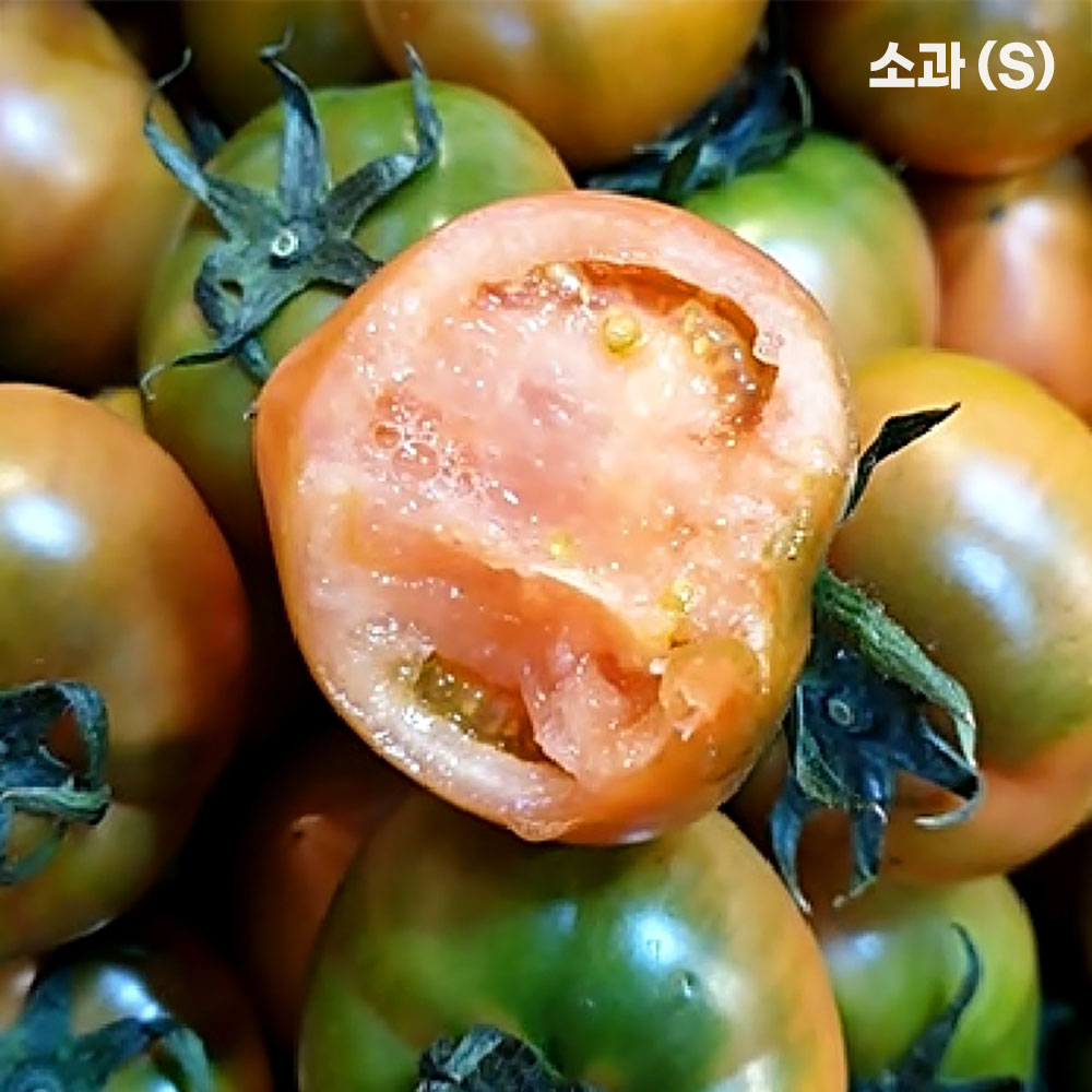 1776330556 thumbnail