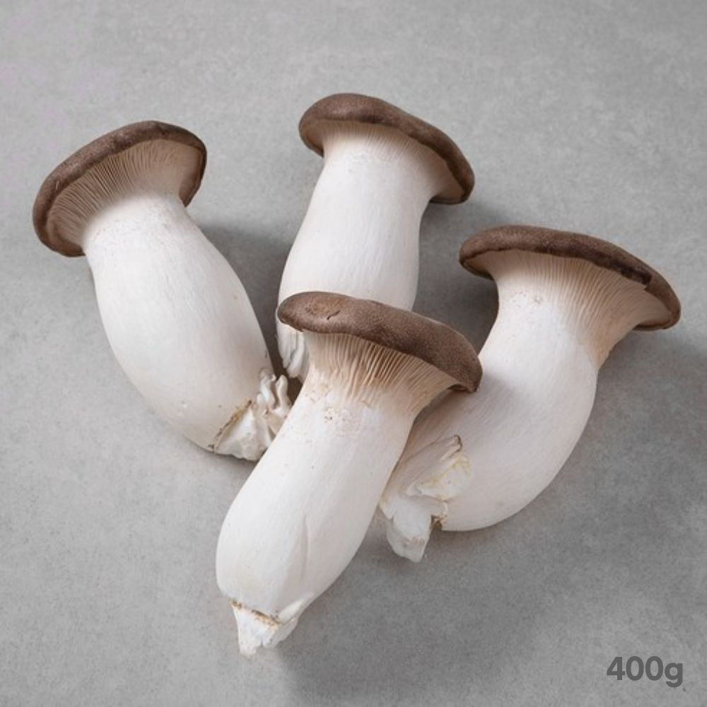 1776417861 thumbnail