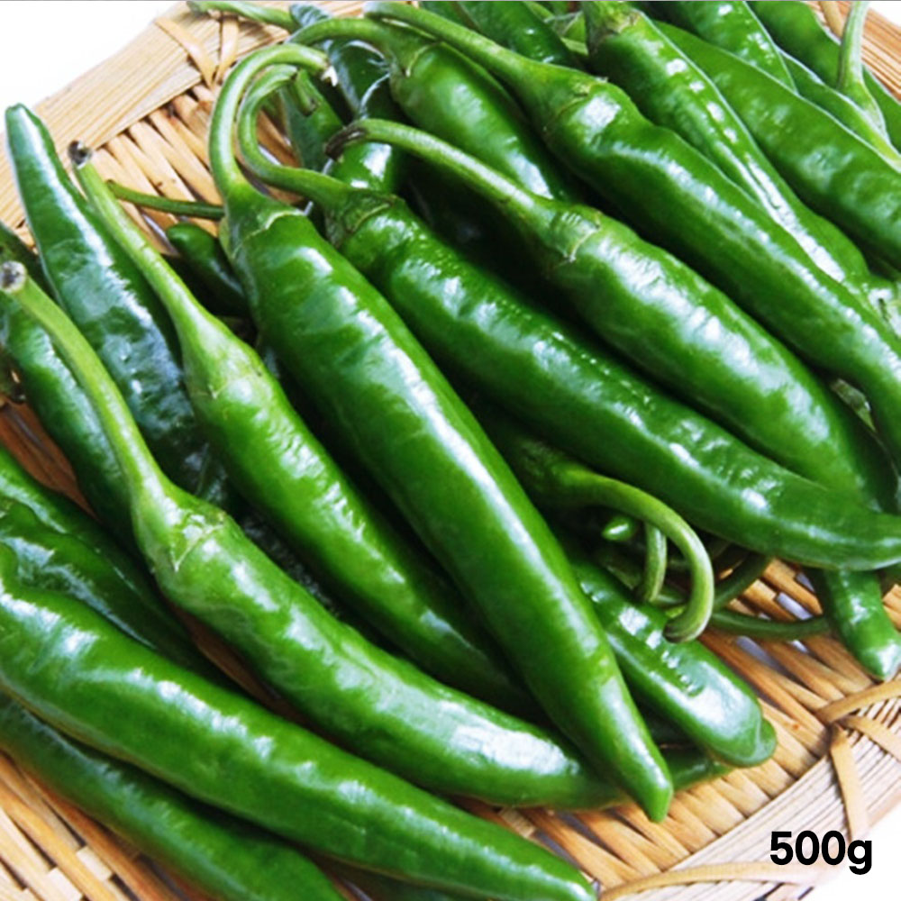 1776417865 thumbnail