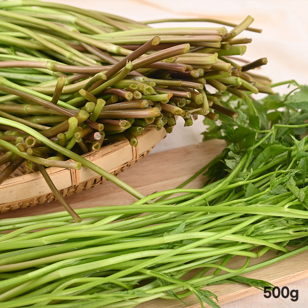 1776417869 thumbnail