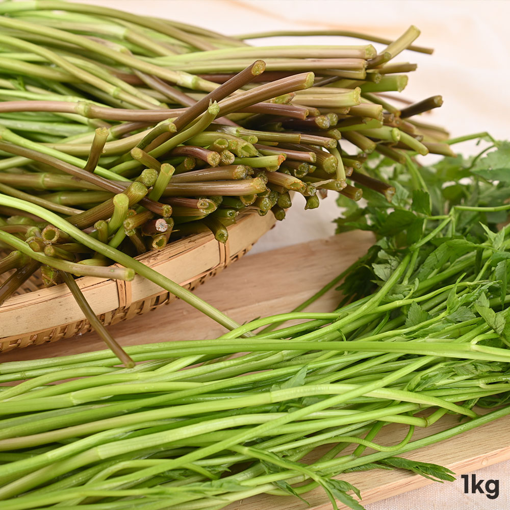 1776417870 thumbnail