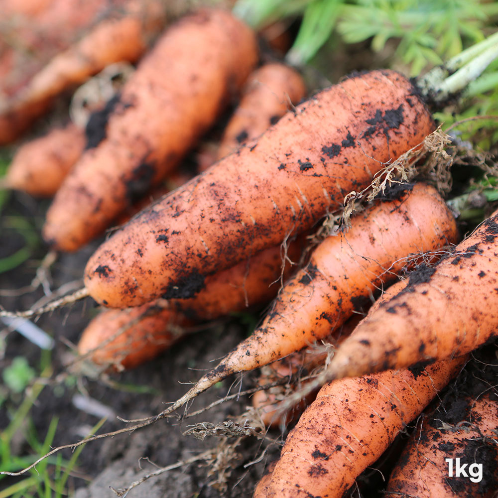 1776417872 thumbnail