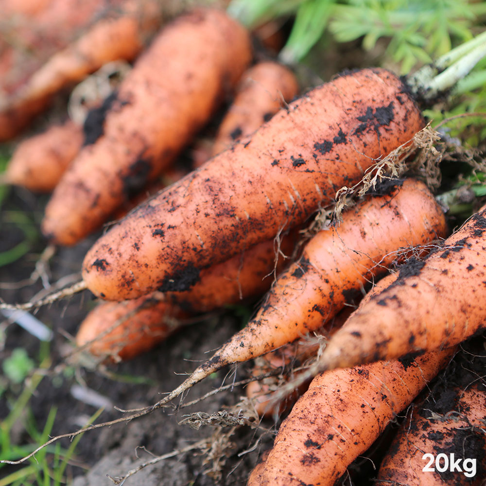 1776417873 thumbnail