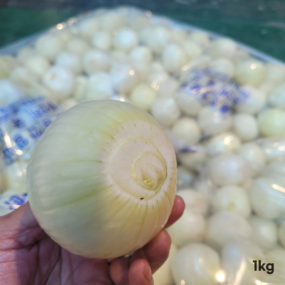 1776417875 thumbnail