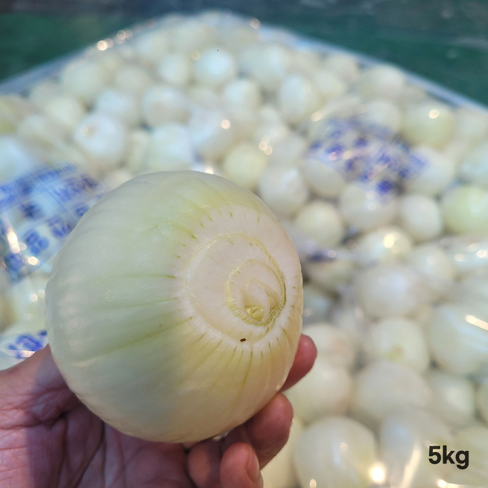 1776417876 thumbnail